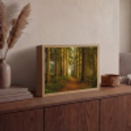 Bos - Natuur - Bomen - Landschap - Bladeren Light Box met batterij (Wandlamp) middel -sfeer2