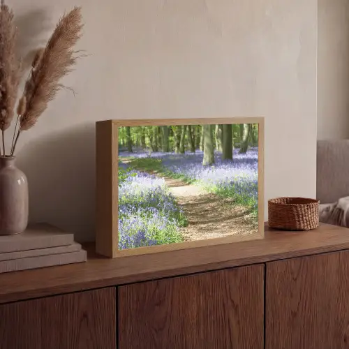 Bos - Pad - Bloemen - Paars - Groen - Natuur Light Box met batterij (Wandlamp) middel -sfeer2