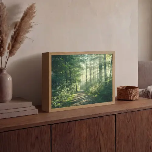 Bos - Pad - Zon - Bomen - Groen - Natuur Light Box met batterij (Wandlamp) middel -sfeer2