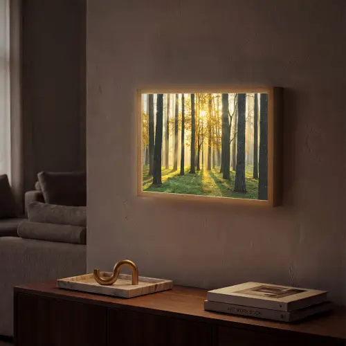 Bos - Zon - Bomen - Gras - Landschap - Natuur Light Box met batterij (Wandlamp) middel -sfeer1