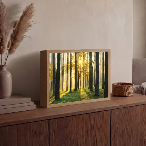 Bos - Zon - Bomen - Gras - Landschap - Natuur Light Box met batterij (Wandlamp) middel -sfeer2