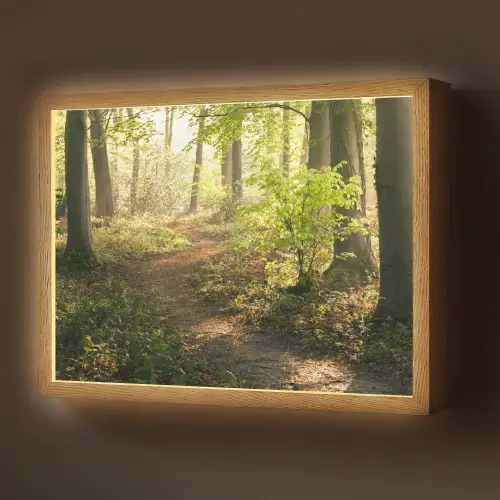 Bos - Bomen - Pad - Zon - Planten - Bladeren - Natuur Light Box met batterij (Wandlamp) middel -z3d_website