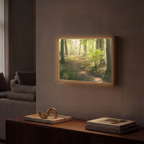 Bos - Bomen - Pad - Zon - Planten - Bladeren - Natuur Light Box met batterij (Wandlamp) middel -sfeer1
