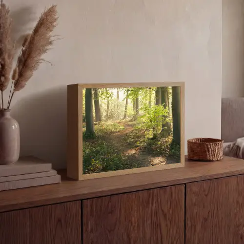 Bos - Bomen - Pad - Zon - Planten - Bladeren - Natuur Light Box met batterij (Wandlamp) middel -sfeer2