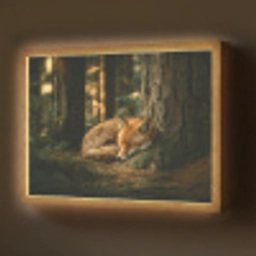 Vos - Bos - Slapen Light Box met batterij (Wandlamp) middel -z3d_website