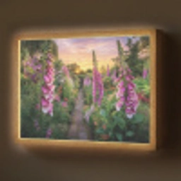 Vingerhoedskruid - Bloemen - Tuin Light Box met batterij (Wandlamp) middel -z3d_website