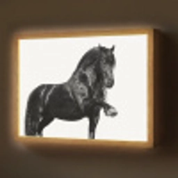 Fries - Hengst - Modern Light Box met batterij (Wandlamp) middel -z3d_website