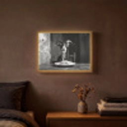 Geit - Bord - Spaghetti - Zwart Wit Light Box met batterij (Wandlamp) middel -sfeer4