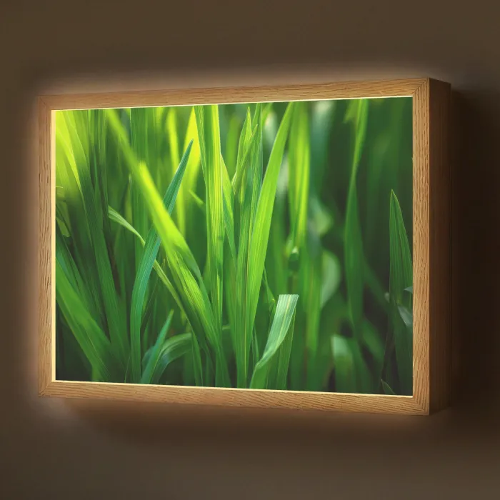 Grassprieten - Lichtinval - Groen Light Box met batterij (Wandlamp) middel -z3d_website