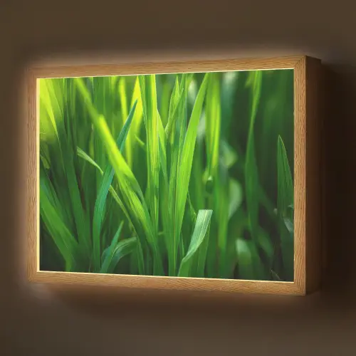 Grassprieten - Lichtinval - Groen Light Box met batterij (Wandlamp) middel -z3d_website