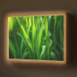 Grassprieten - Lichtinval - Groen Light Box met batterij (Wandlamp) middel -z3d_website