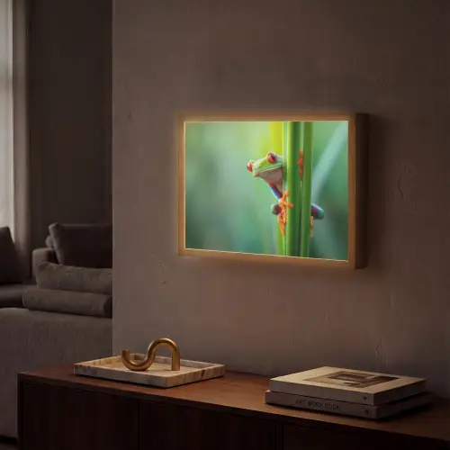Groene kikker - Nieuwsgierig - Gras Light Box met batterij (Wandlamp) middel -sfeer1