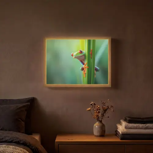 Groene kikker - Nieuwsgierig - Gras Light Box met batterij (Wandlamp) middel -sfeer4