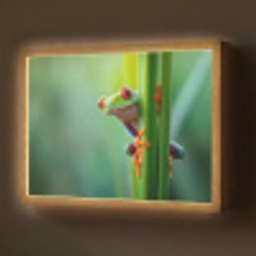 Groene kikker - Nieuwsgierig - Gras Light Box met batterij (Wandlamp) middel -z3d_website