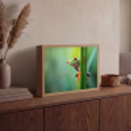 Groene kikker - Nieuwsgierig - Gras Light Box met batterij (Wandlamp) middel -sfeer2
