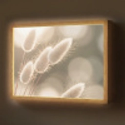 Hazestaartgras - Wit - Zonlicht Light Box met batterij (Wandlamp) middel -z3d_website