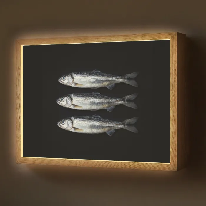 Haring - Vissen - Zwart Light Box met batterij (Wandlamp) middel -z3d_website