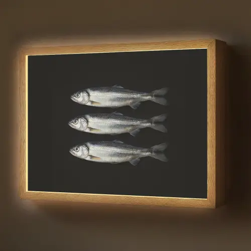 Haring - Vissen - Zwart Light Box met batterij (Wandlamp) middel -z3d_website