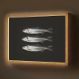 Haring - Vissen - Zwart Light Box met batterij (Wandlamp) middel -z3d_website