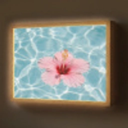 Hibiscus - Water - Roze Light Box met batterij (Wandlamp) middel -z3d_website