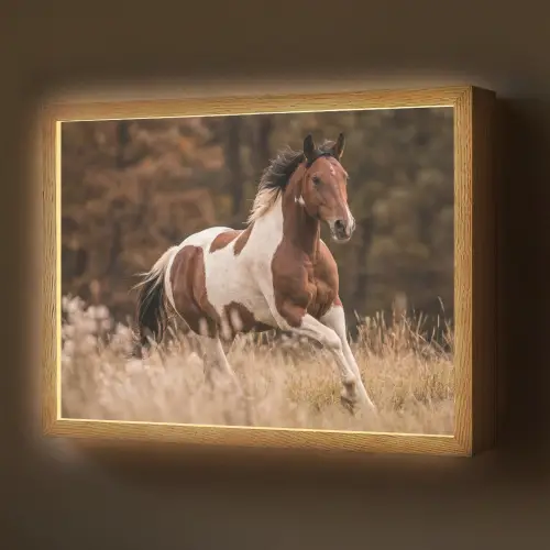 Paard - Bruin - Gras Light Box met batterij (Wandlamp) middel -z3d_website