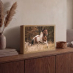 Paard - Bruin - Gras Light Box met batterij (Wandlamp) middel -sfeer2