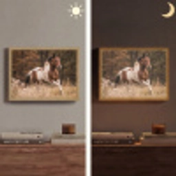 Paard - Bruin - Gras Light Box met batterij (Wandlamp) middel -sfeer3