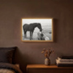Paard - Auto - Zwart - Wit Light Box met batterij (Wandlamp) middel -sfeer4