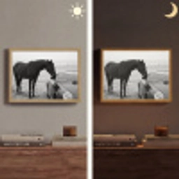 Paard - Auto - Zwart - Wit Light Box met batterij (Wandlamp) middel -sfeer3