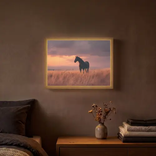 Paard - Wolken - Open veld Light Box met batterij (Wandlamp) middel -sfeer4