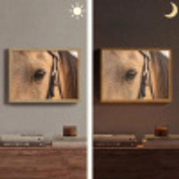 Paard - Oog - Bruin Light Box met batterij (Wandlamp) middel -sfeer3