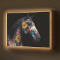 Paard - Bloemen - Zwart Light Box met batterij (Wandlamp) middel -z3d_website