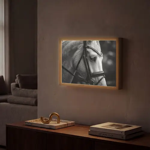 Paard - Schimmel - Portret Light Box met batterij (Wandlamp) middel -sfeer1