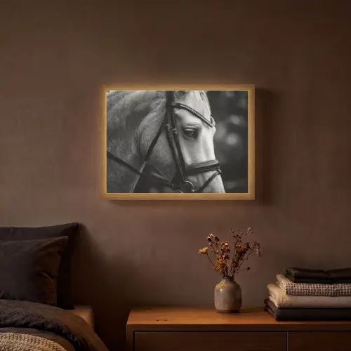 Paard - Schimmel - Portret Light Box met batterij (Wandlamp) middel -sfeer4