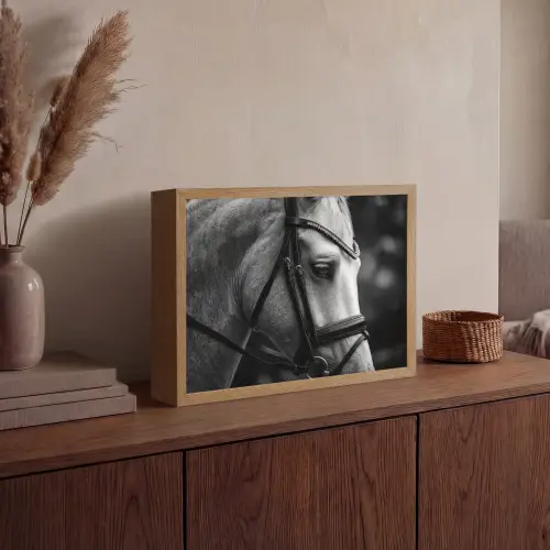 Paard - Schimmel - Portret Light Box met batterij (Wandlamp) middel -sfeer2