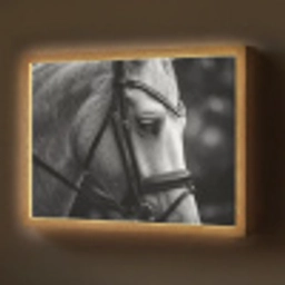 Paard - Schimmel - Portret Light Box met batterij (Wandlamp) middel -z3d_website