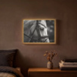 Paard - Schimmel - Portret Light Box met batterij (Wandlamp) middel -sfeer4