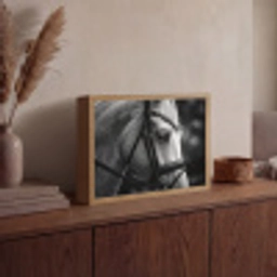 Paard - Schimmel - Portret Light Box met batterij (Wandlamp) middel -sfeer2