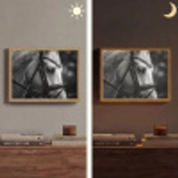 Paard - Schimmel - Portret Light Box met batterij (Wandlamp) middel -sfeer3