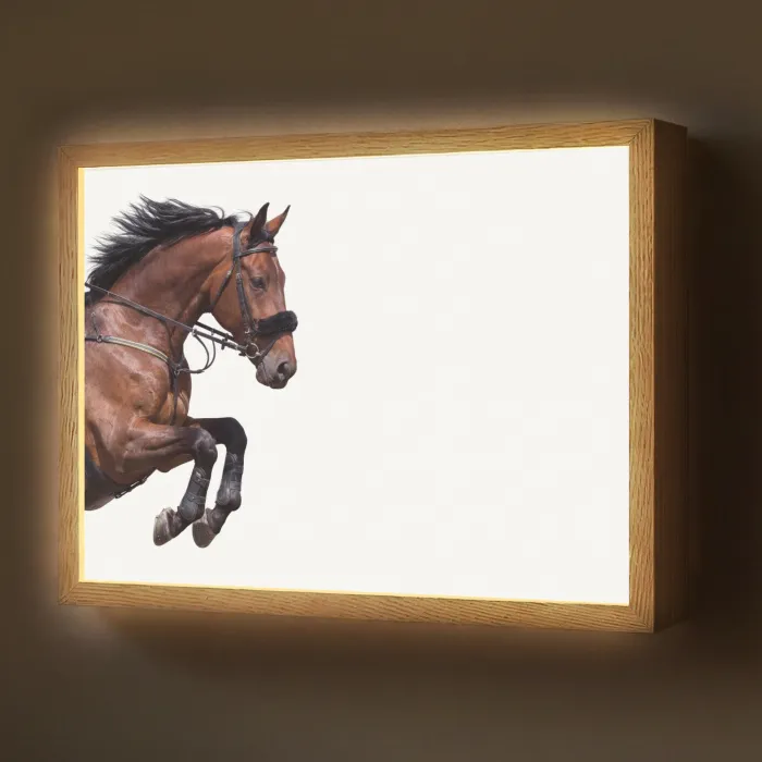 Paard - Springen - Modern Light Box met batterij (Wandlamp) middel -z3d_website
