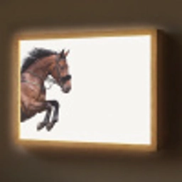 Paard - Springen - Modern Light Box met batterij (Wandlamp) middel -z3d_website