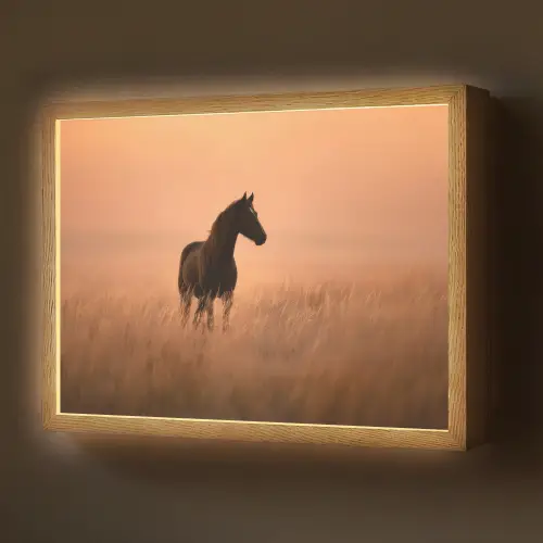 Paard - Grasveld - Zonsondergang Light Box met batterij (Wandlamp) middel -z3d_website