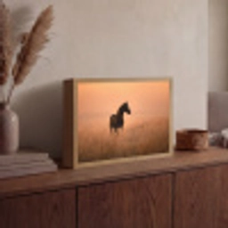 Paard - Grasveld - Zonsondergang Light Box met batterij (Wandlamp) middel -sfeer2