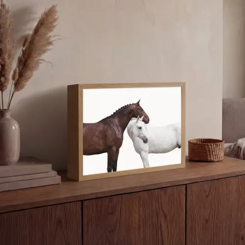 Paard - Modern - Balans Light Box met batterij (Wandlamp) middel -sfeer2
