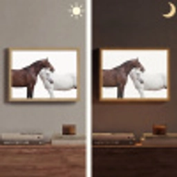 Paard - Modern - Balans Light Box met batterij (Wandlamp) middel -sfeer3