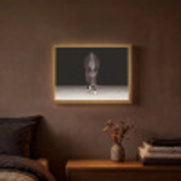Paard - Modern - Portret Light Box met batterij (Wandlamp) middel -sfeer4