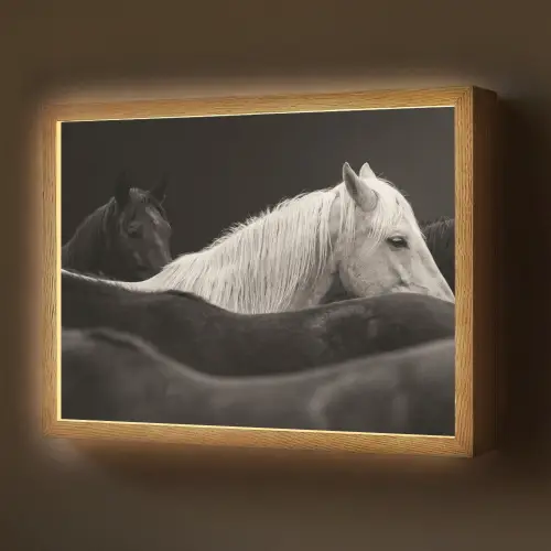 Paarden - Zwart - Wit - Kudde Light Box met batterij (Wandlamp) middel -z3d_website