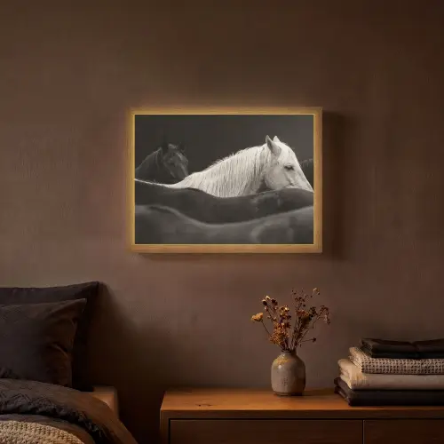 Paarden - Zwart - Wit - Kudde Light Box met batterij (Wandlamp) middel -sfeer4