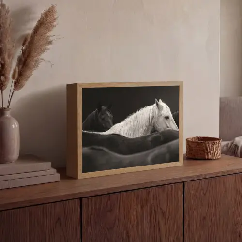Paarden - Zwart - Wit - Kudde Light Box met batterij (Wandlamp) middel -sfeer2