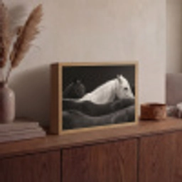 Paarden - Zwart - Wit - Kudde Light Box met batterij (Wandlamp) middel -sfeer2